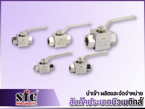 นิวเมติกส์แบรนด์ต่างประเทศ